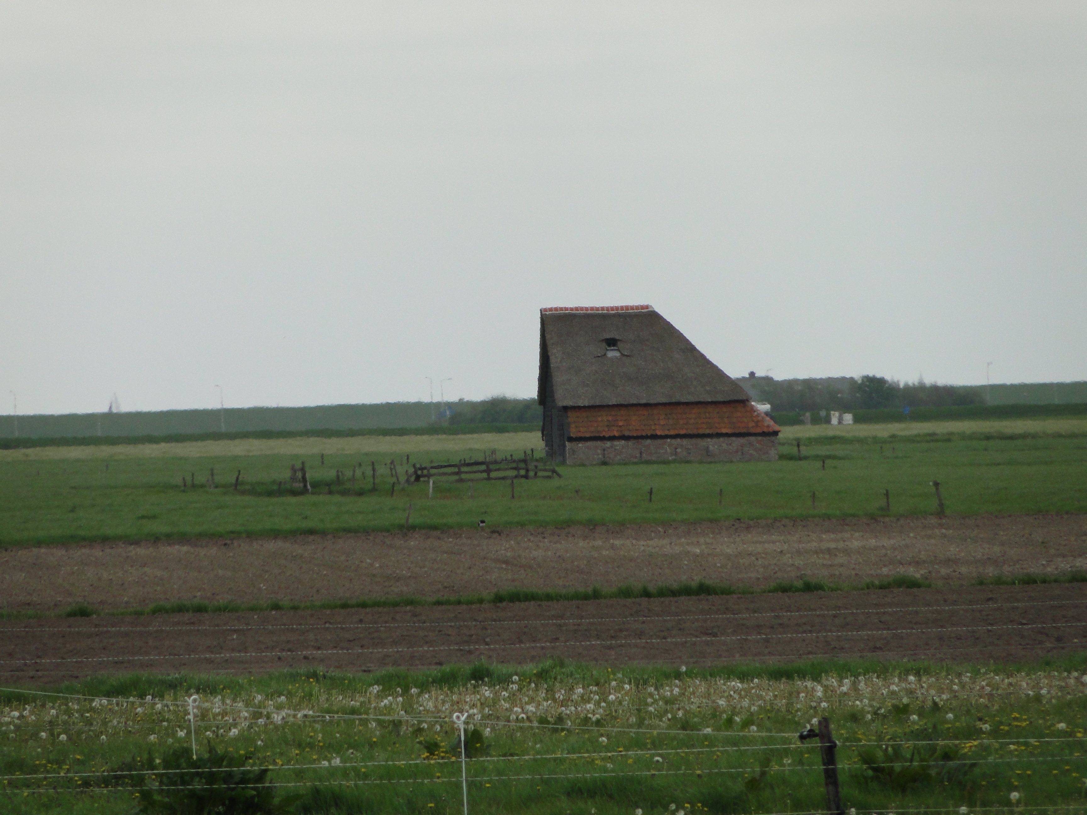 HWK Texel 130.jpg